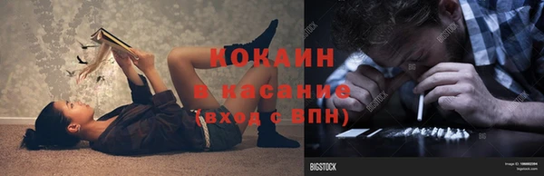 гашик Касимов