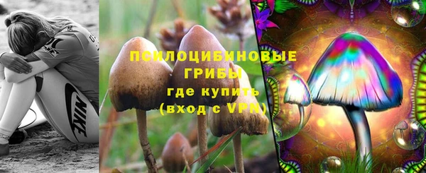 СК Карталы