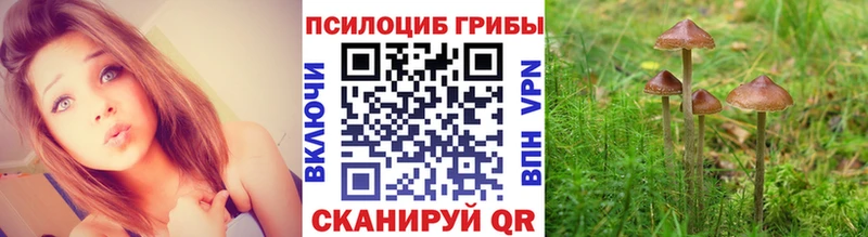 Галлюциногенные грибы Cubensis  кракен зеркало  Кумертау 